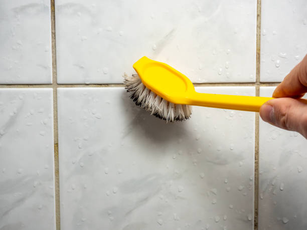 Office Mold Removal Services in Webberville, MI