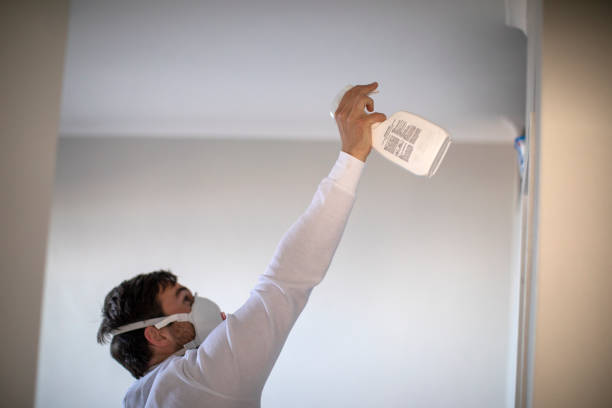Best Affordable Mold Removal  in Webberville, MI