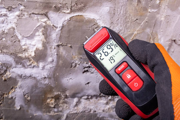 Best Professional Mold Removal  in Webberville, MI