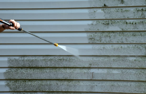 Mold Testing and Removal in Webberville, MI