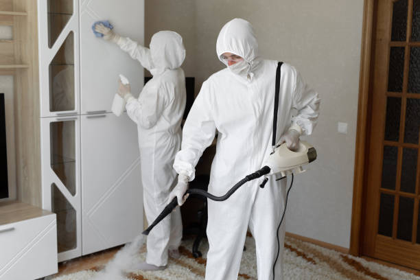 Best Certified Mold Removal  in Webberville, MI