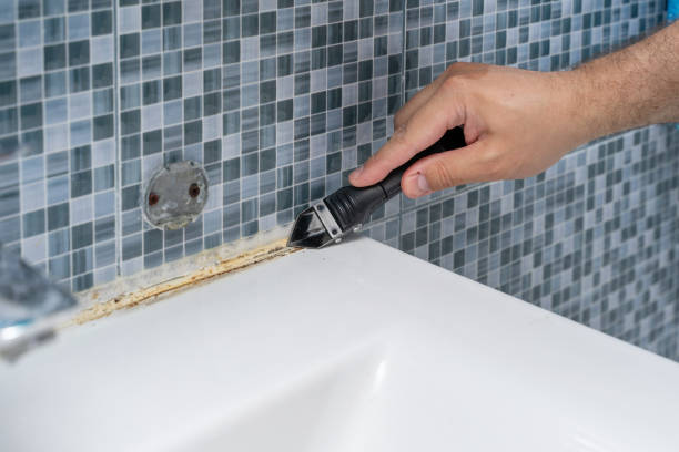Best Best Mold Removal Companies  in Webberville, MI